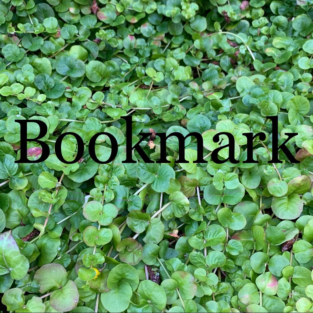 Bookmark my Closet!